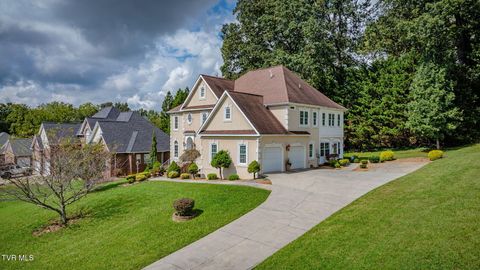 Tiny photo for 628 Red Oak Plantation Drive, Kingsport, TN 37663 (MLS # 9986460)