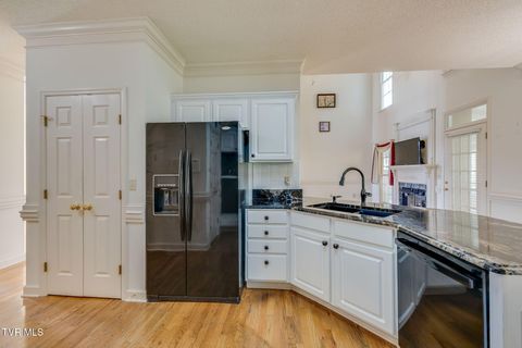 Tiny photo for 628 Red Oak Plantation Drive, Kingsport, TN 37663 (MLS # 9986460)