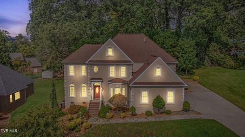 Tiny photo for 628 Red Oak Plantation Drive, Kingsport, TN 37663 (MLS # 9986460)