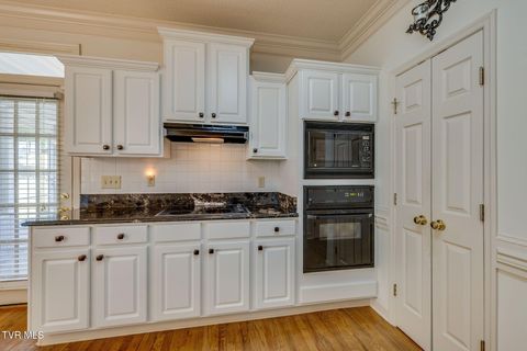 Tiny photo for 628 Red Oak Plantation Drive, Kingsport, TN 37663 (MLS # 9986460)