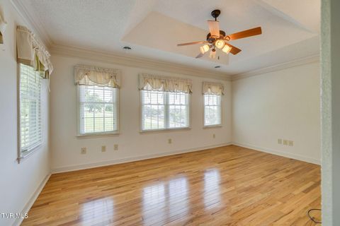Tiny photo for 628 Red Oak Plantation Drive, Kingsport, TN 37663 (MLS # 9986460)