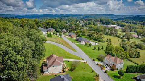 Tiny photo for 628 Red Oak Plantation Drive, Kingsport, TN 37663 (MLS # 9986460)