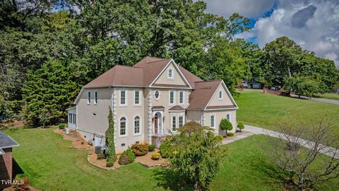 Tiny photo for 628 Red Oak Plantation Drive, Kingsport, TN 37663 (MLS # 9986460)