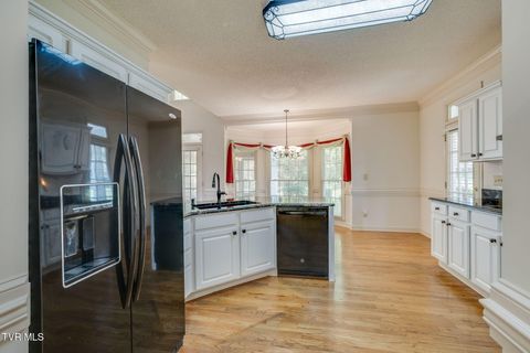 Tiny photo for 628 Red Oak Plantation Drive, Kingsport, TN 37663 (MLS # 9986460)