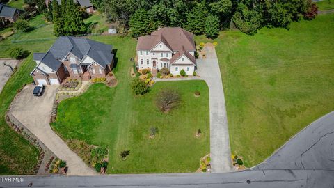 Tiny photo for 628 Red Oak Plantation Drive, Kingsport, TN 37663 (MLS # 9986460)