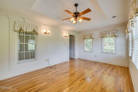 Tiny photo for 628 Red Oak Plantation Drive, Kingsport, TN 37663 (MLS # 9986460)