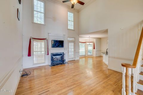 Tiny photo for 628 Red Oak Plantation Drive, Kingsport, TN 37663 (MLS # 9986460)