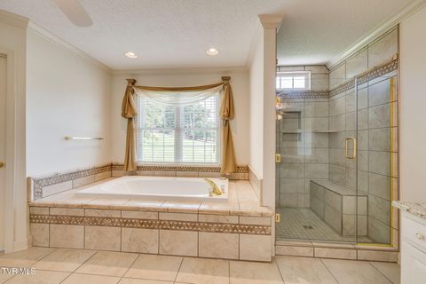 Tiny photo for 628 Red Oak Plantation Drive, Kingsport, TN 37663 (MLS # 9986460)