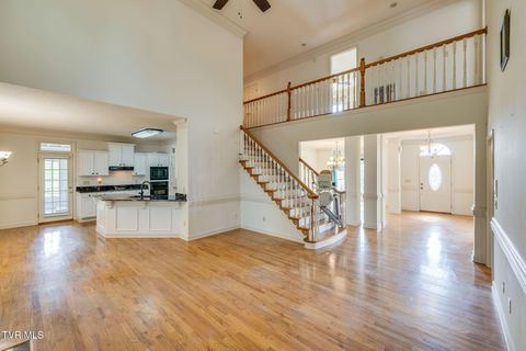 Tiny photo for 628 Red Oak Plantation Drive, Kingsport, TN 37663 (MLS # 9986460)