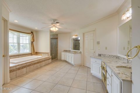 Tiny photo for 628 Red Oak Plantation Drive, Kingsport, TN 37663 (MLS # 9986460)