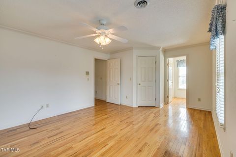 Tiny photo for 628 Red Oak Plantation Drive, Kingsport, TN 37663 (MLS # 9986460)