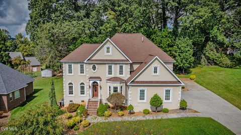 Photo of 628 Red Oak Plantation Drive, Kingsport, TN 37663 (MLS # 9986460)