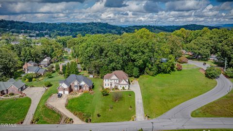Tiny photo for 628 Red Oak Plantation Drive, Kingsport, TN 37663 (MLS # 9986460)
