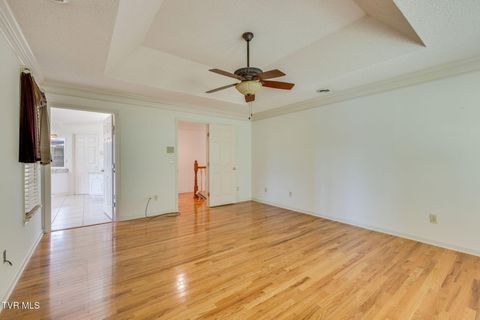 Tiny photo for 628 Red Oak Plantation Drive, Kingsport, TN 37663 (MLS # 9986460)