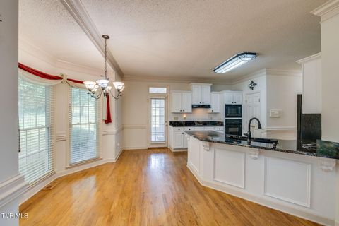 Tiny photo for 628 Red Oak Plantation Drive, Kingsport, TN 37663 (MLS # 9986460)