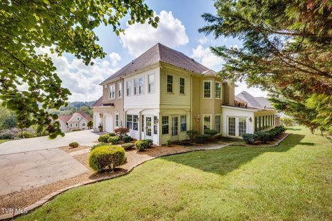 Tiny photo for 628 Red Oak Plantation Drive, Kingsport, TN 37663 (MLS # 9986460)