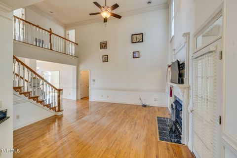 Tiny photo for 628 Red Oak Plantation Drive, Kingsport, TN 37663 (MLS # 9986460)
