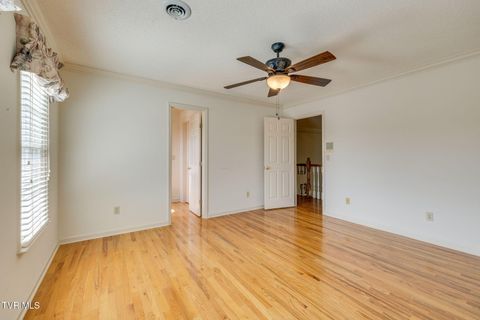 Tiny photo for 628 Red Oak Plantation Drive, Kingsport, TN 37663 (MLS # 9986460)