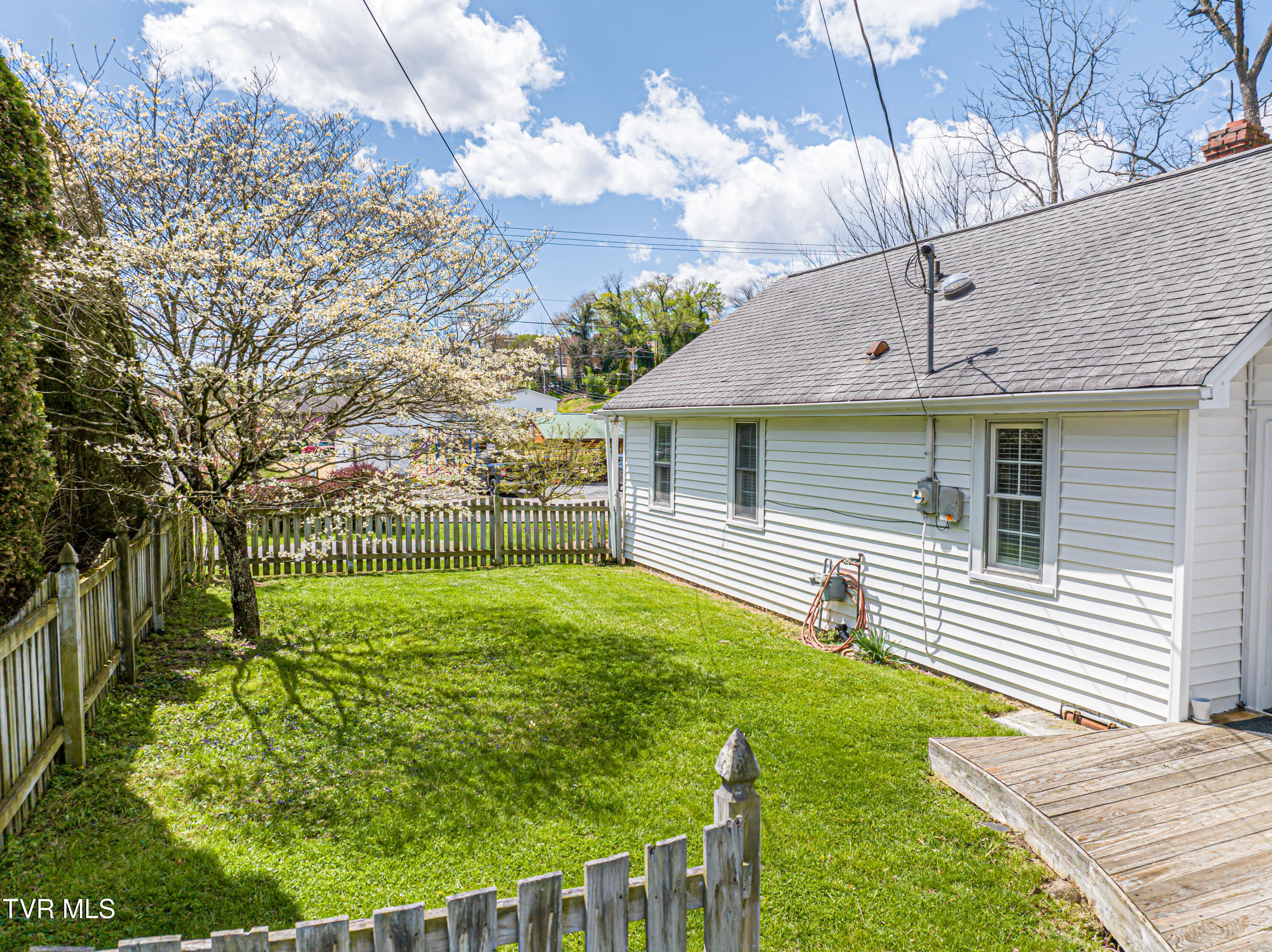 313 Tanner Street, Abingdon, Virginia image 36