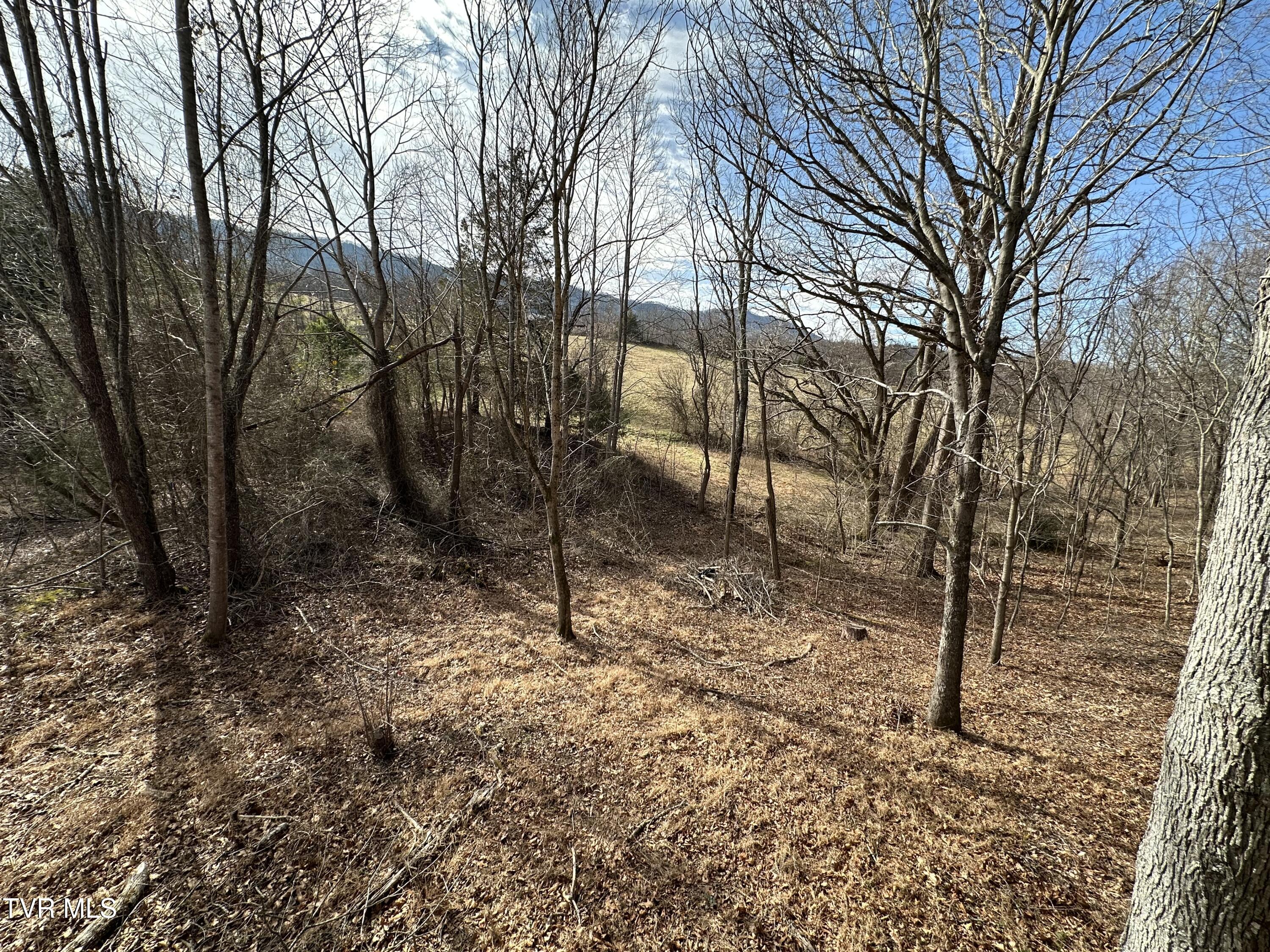 949 Browns Chapel Road, Parrottsville, Tennessee image 14