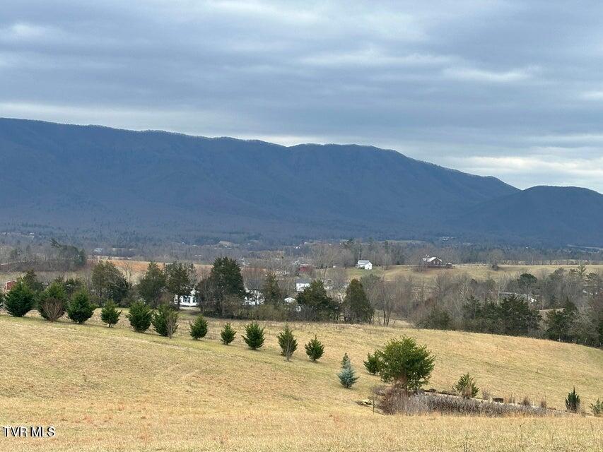70 Camp Creek Road, Greeneville, Tennessee image 42