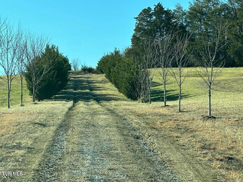 70 Camp Creek Road, Greeneville, Tennessee image 33