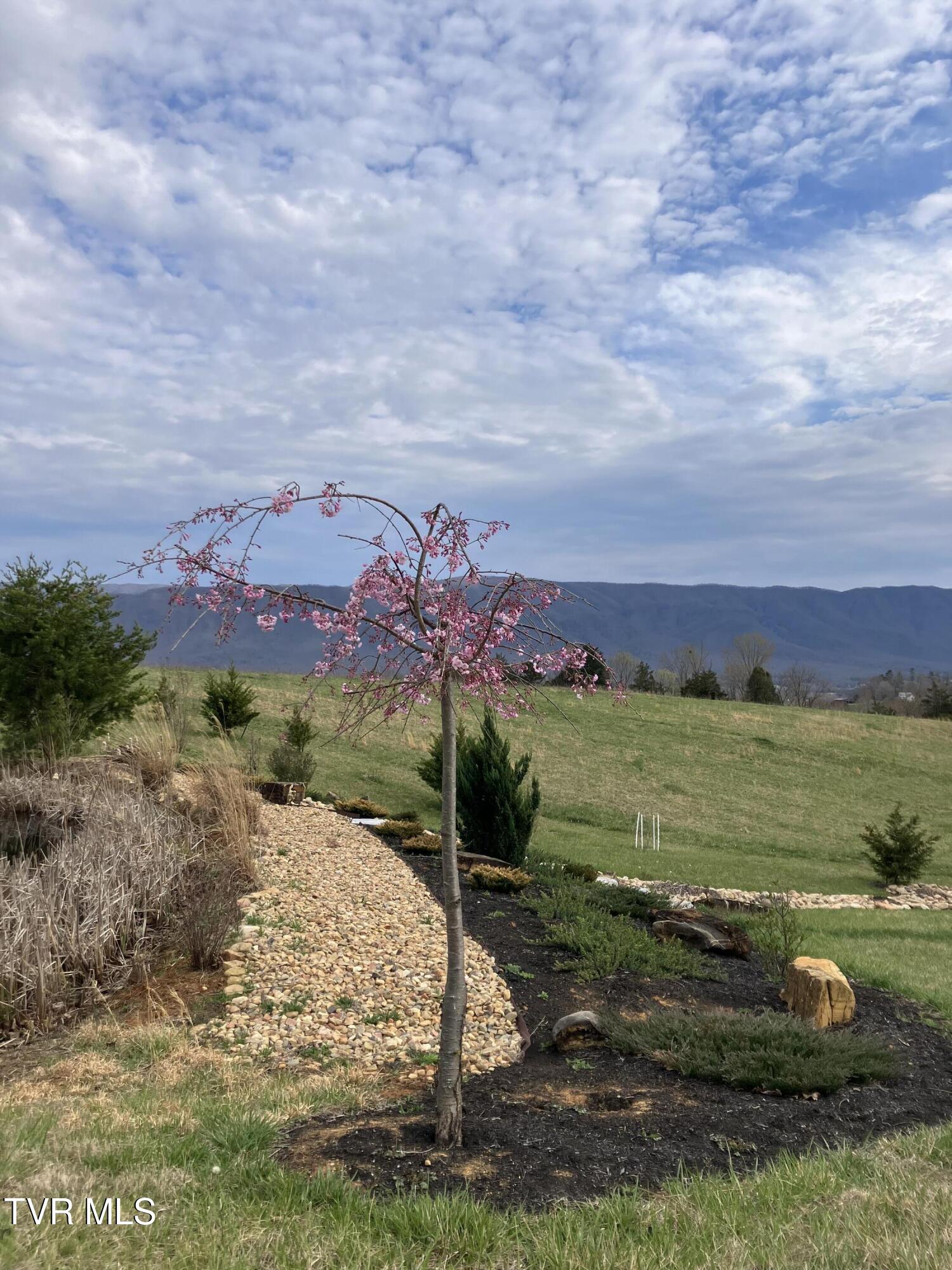 70 Camp Creek Road, Greeneville, Tennessee image 11