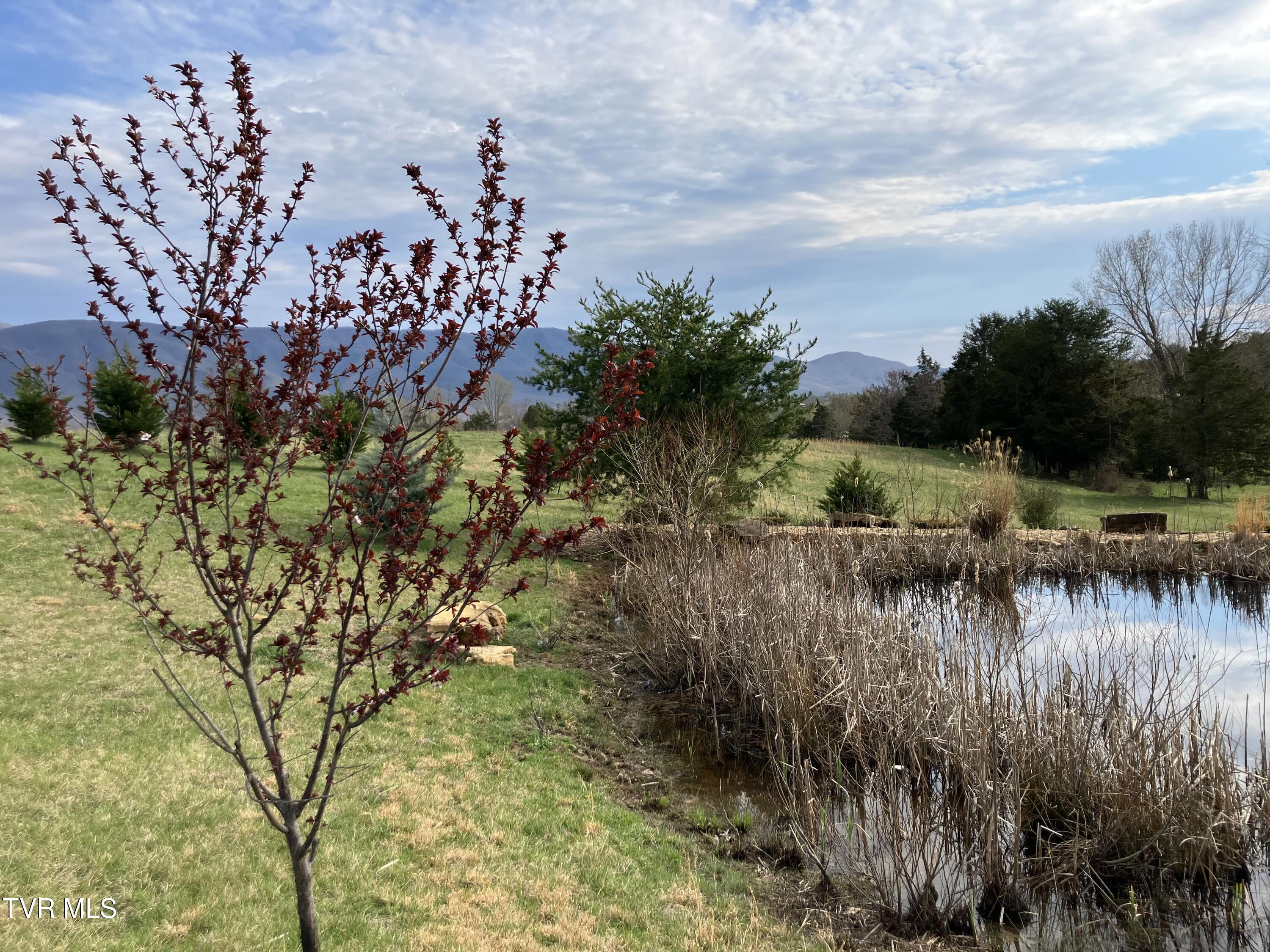 70 Camp Creek Road, Greeneville, Tennessee image 10