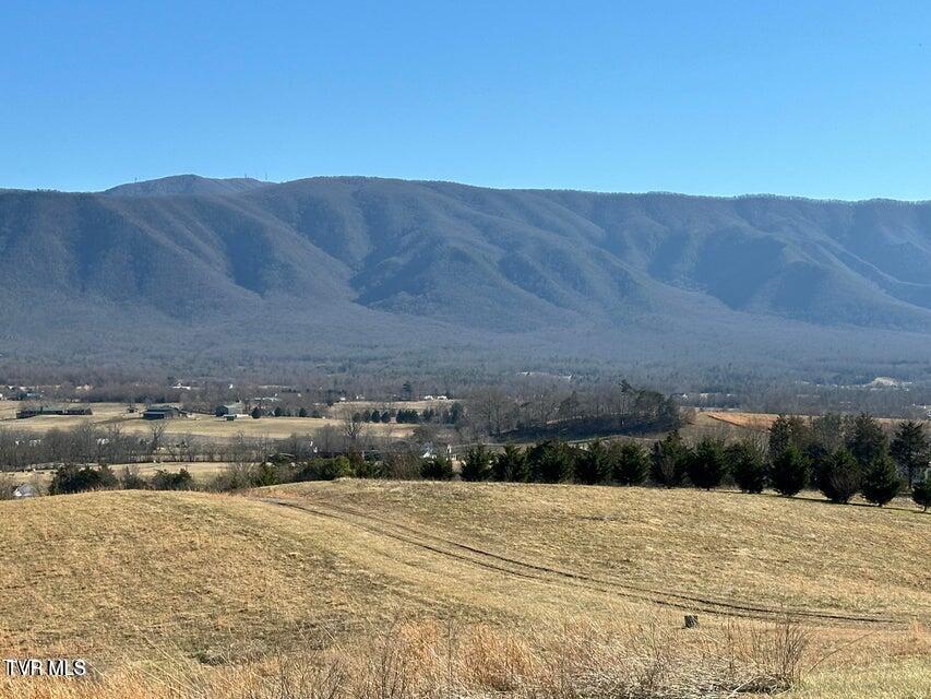 70 Camp Creek Road, Greeneville, Tennessee image 31