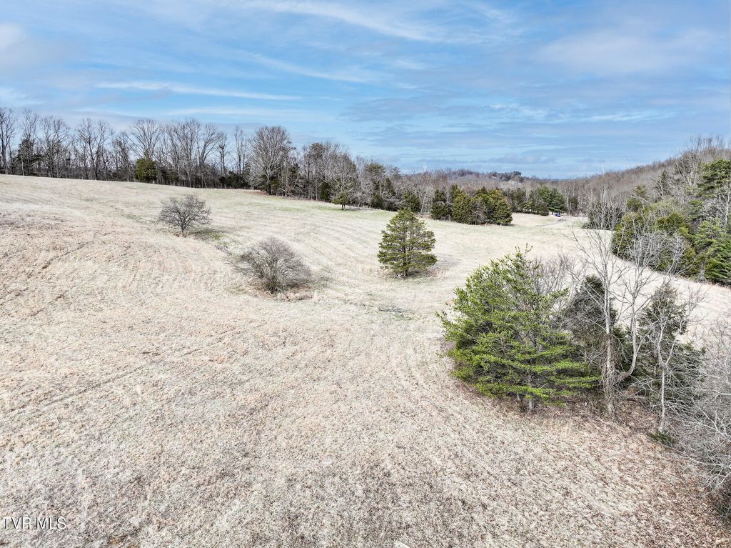 Photo of Tbd Pitt Loop, Chuckey, TN 37641 (MLS # 9991653)