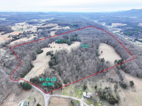 Vacant Land For Sale - TBD Pitt Loop<br/> Chuckey, TN 37641