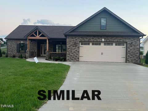 Homes For Sale - 3035 Sawgrass Drive<br/> Washington County, Jonesborough, TN 37659