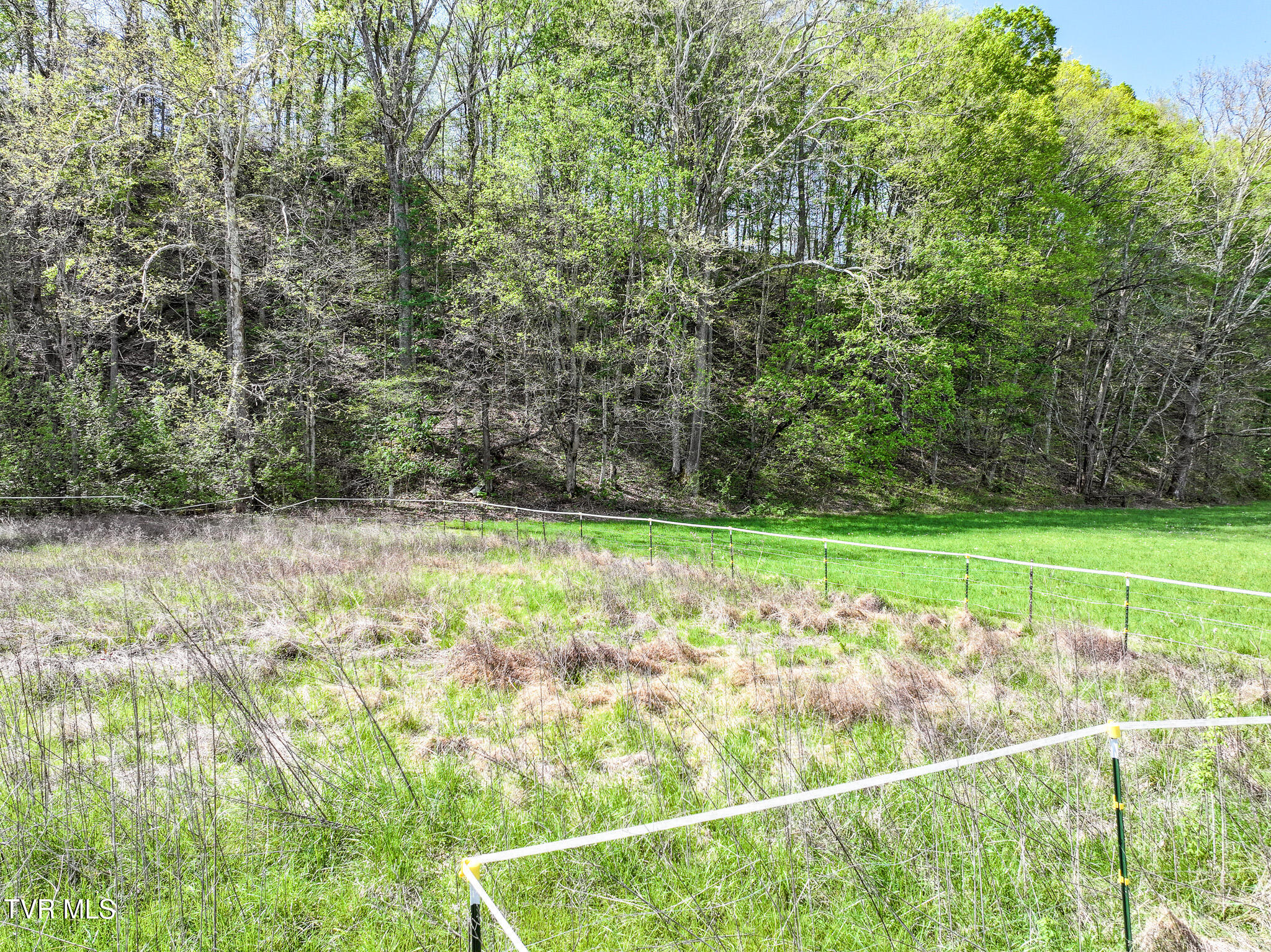 915 Ottway Rd Rd, Greeneville, Tennessee image 33