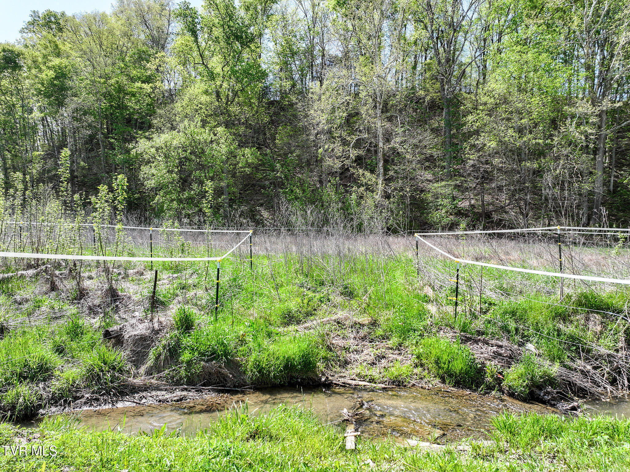 915 Ottway Rd Rd, Greeneville, Tennessee image 32