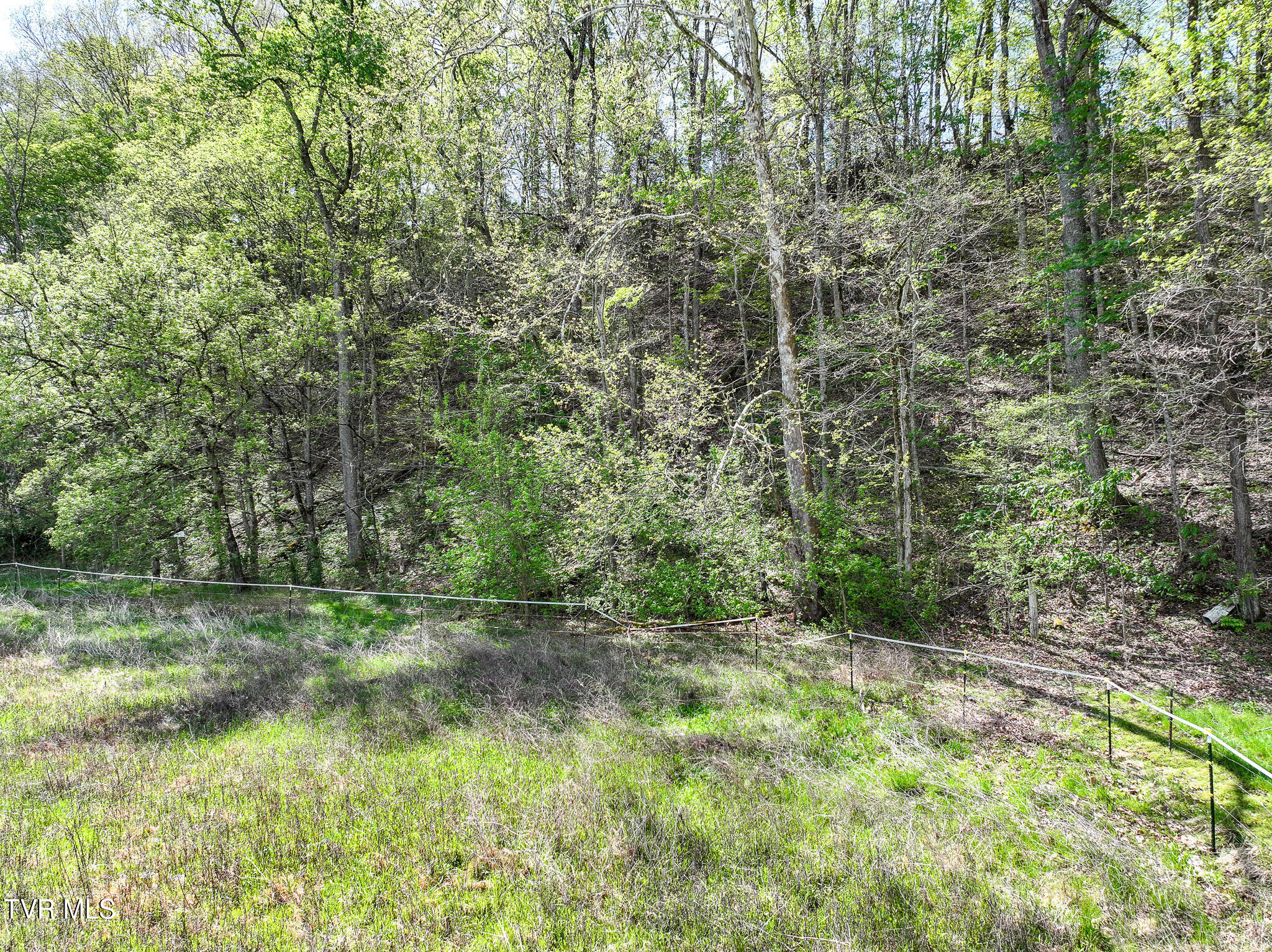 915 Ottway Rd Rd, Greeneville, Tennessee image 40