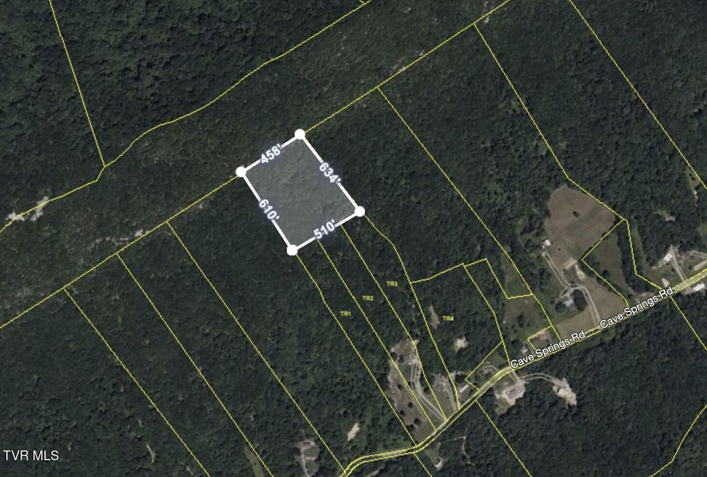 Photo of Tbd Cave Springs Road, Rogersville, TN 37857 (MLS # 9975019)