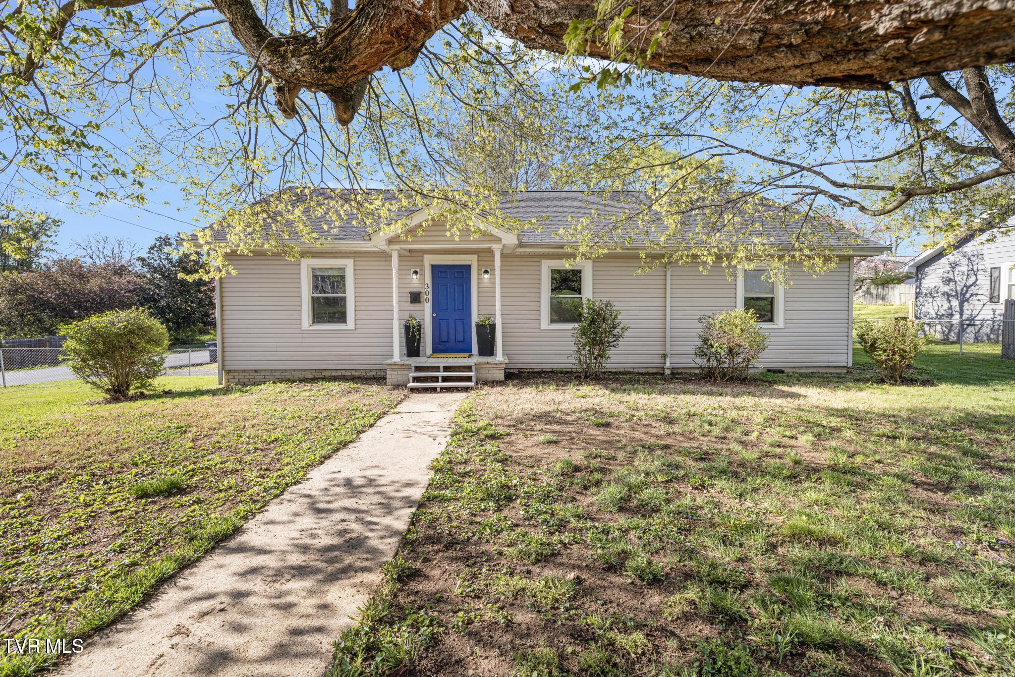 300 May Avenue, Kingsport, Tennessee image 1