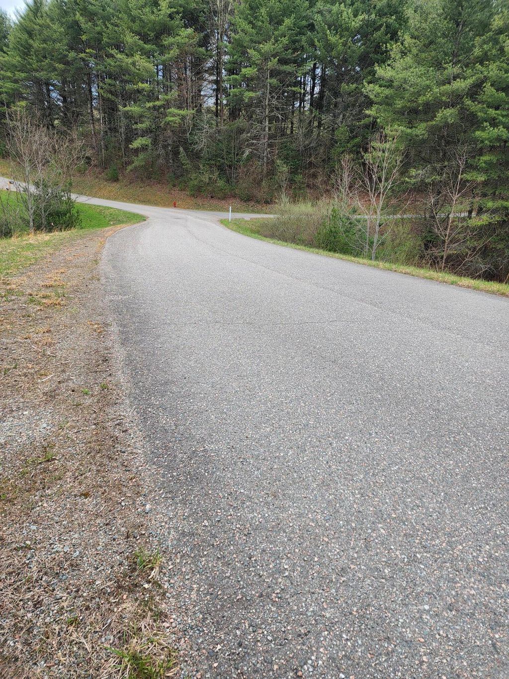 Photo of Tbd Lot 30 Laurel Way, Mountain City, TN 37683 (MLS # 9989843)