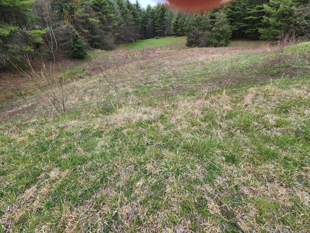 Photo of Tbd Lot 30 Laurel Way, Mountain City, TN 37683 (MLS # 9989843)