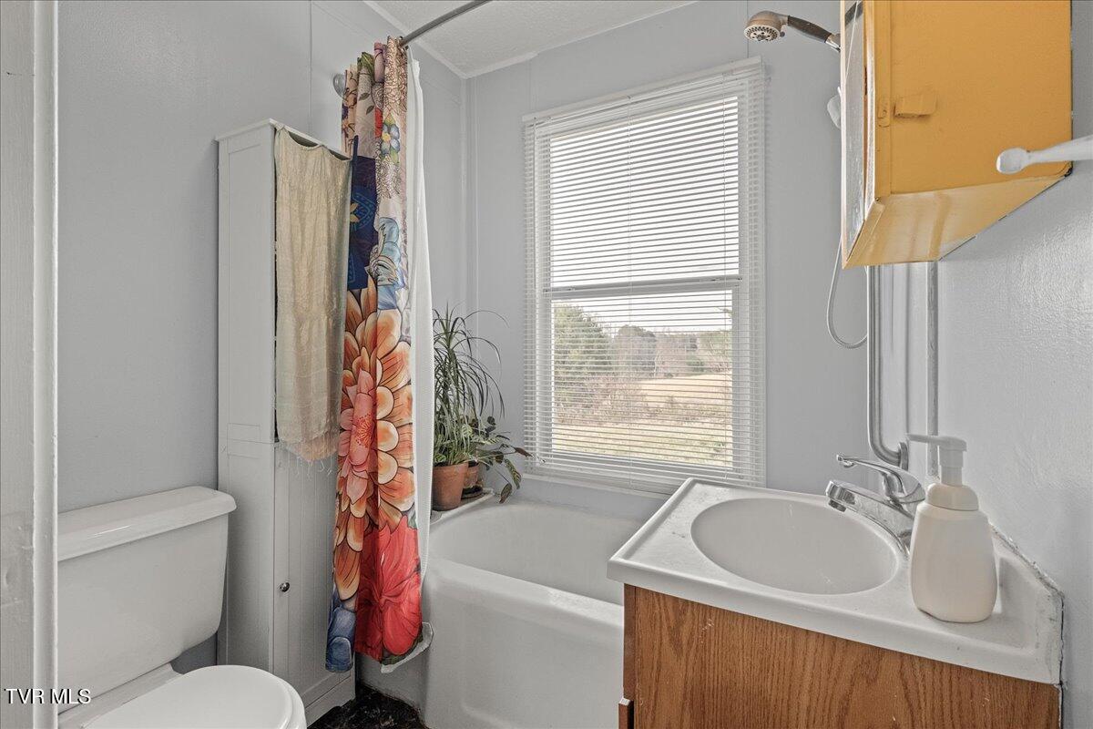 295 Taylor Road, Fall Branch, Tennessee image 32