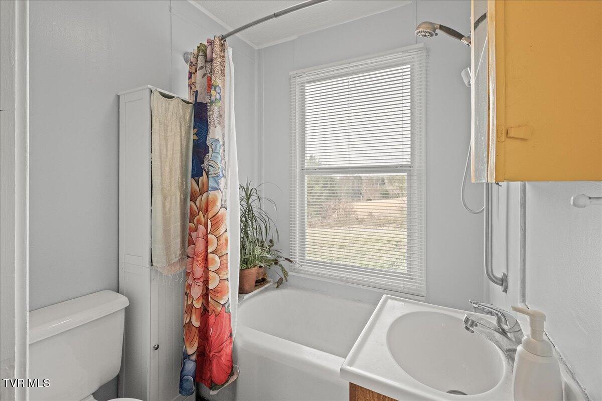 295 Taylor Road, Fall Branch, Tennessee image 33