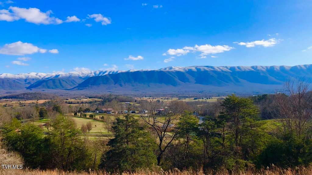 Photo of 285 Greystone Road, Greeneville, TN 37743 (MLS # 9988471)