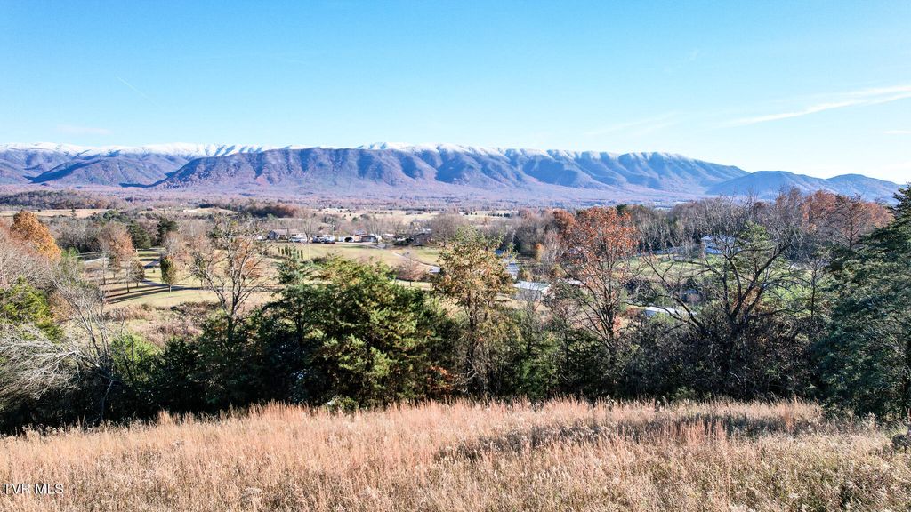 Photo of 285 Greystone Road, Greeneville, TN 37743 (MLS # 9988471)