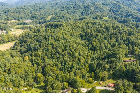 Vacant Land For Sale - Bear Cage Road<br/> Carter County, Roan Mountain, TN 37687