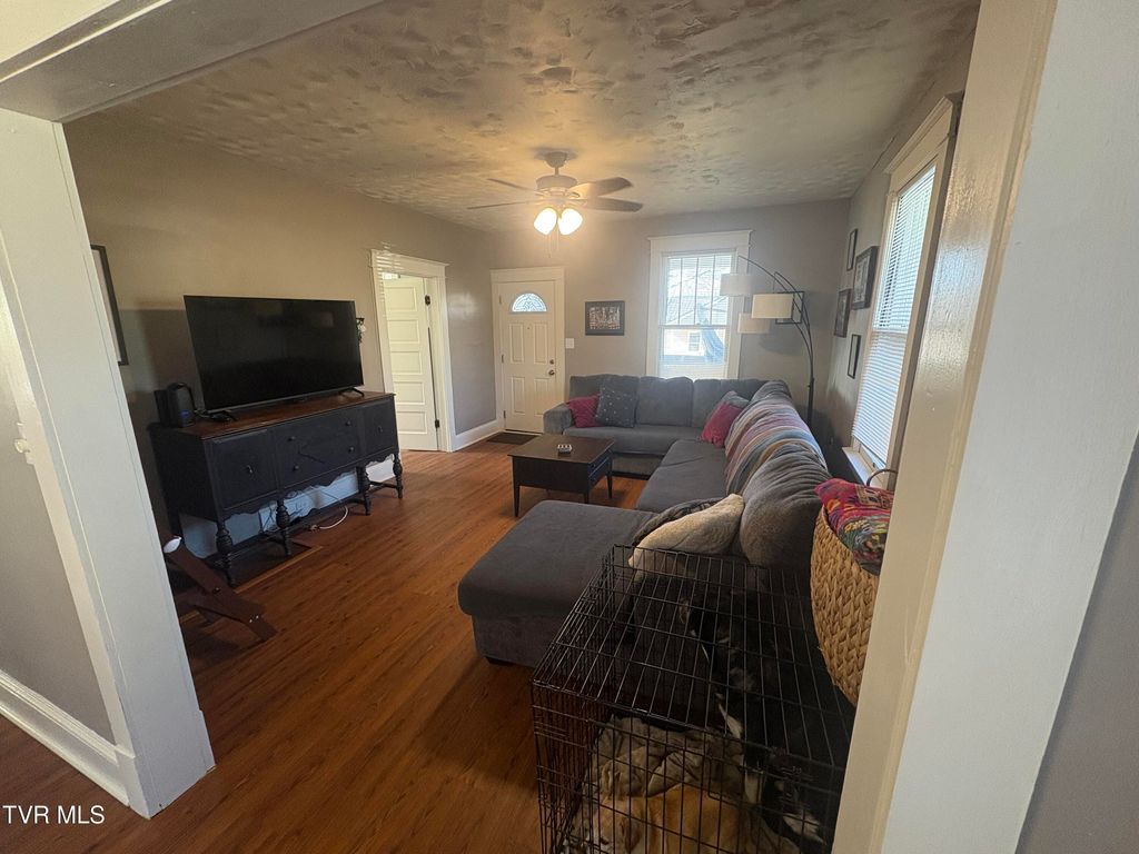 Photo of 116 Elizabeth Street, Bristol, TN 37620 (MLS # 9988785)