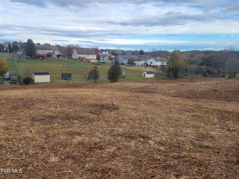 Vacant Land For Sale - 1216 Bowmantown Road<br/> Limestone, TN 37681