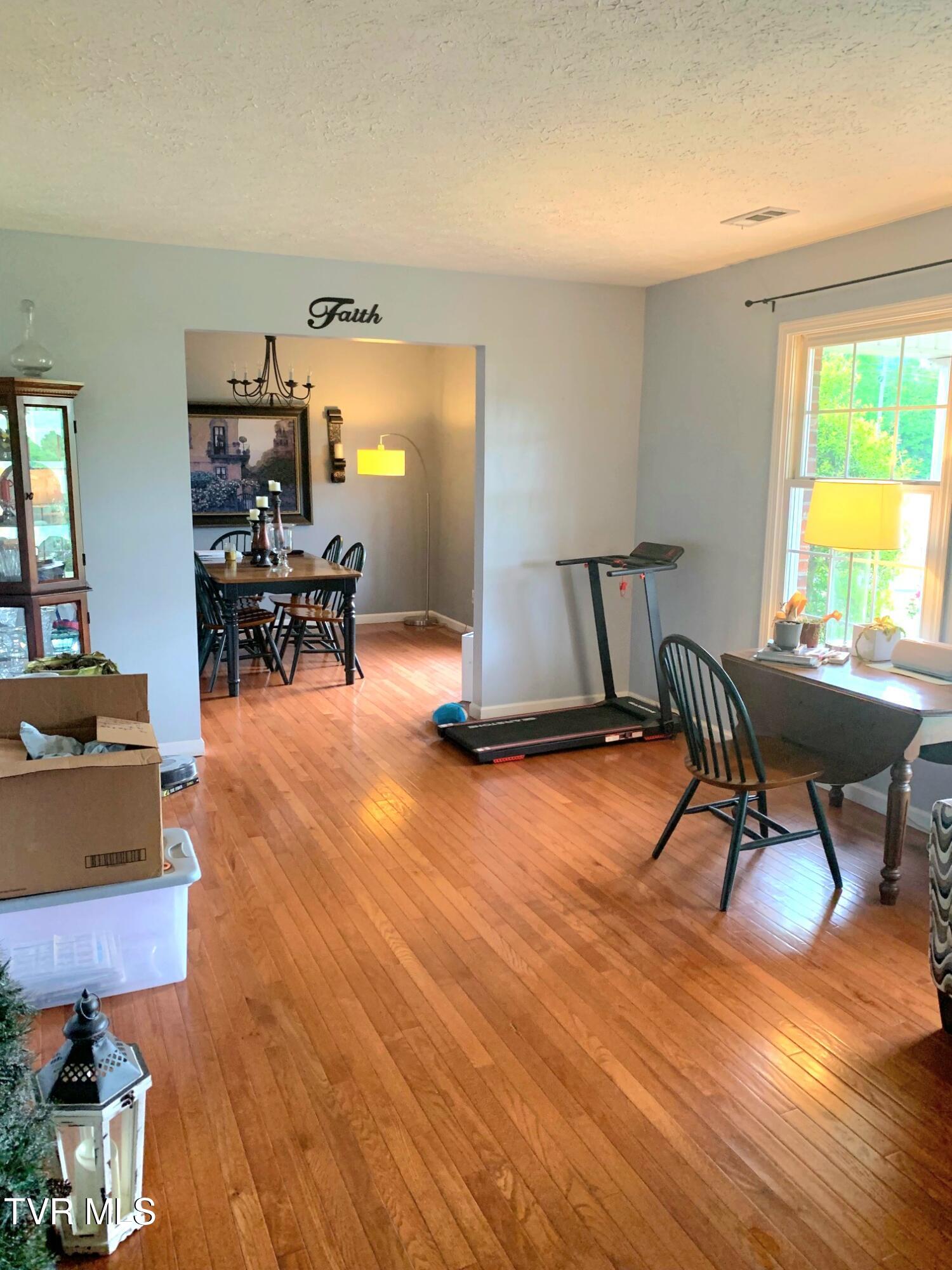 541 North Holston River Drive