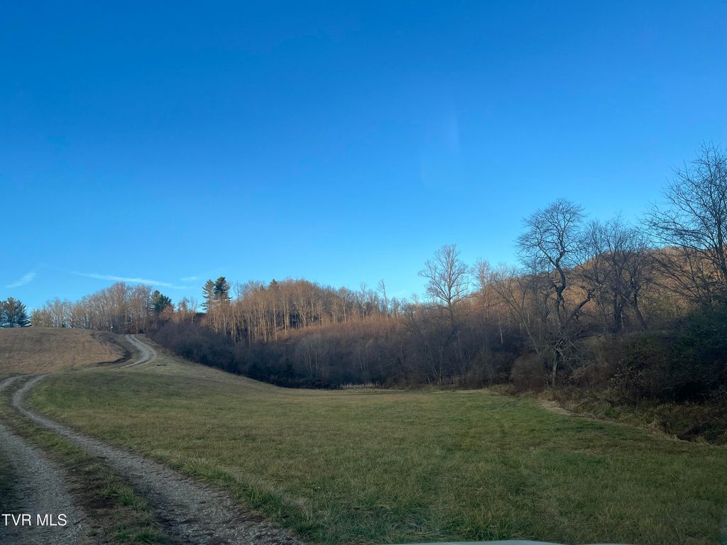 Photo of Tbd Toms Creek Road, Coeburn, VA 24230 (MLS # 9984008)
