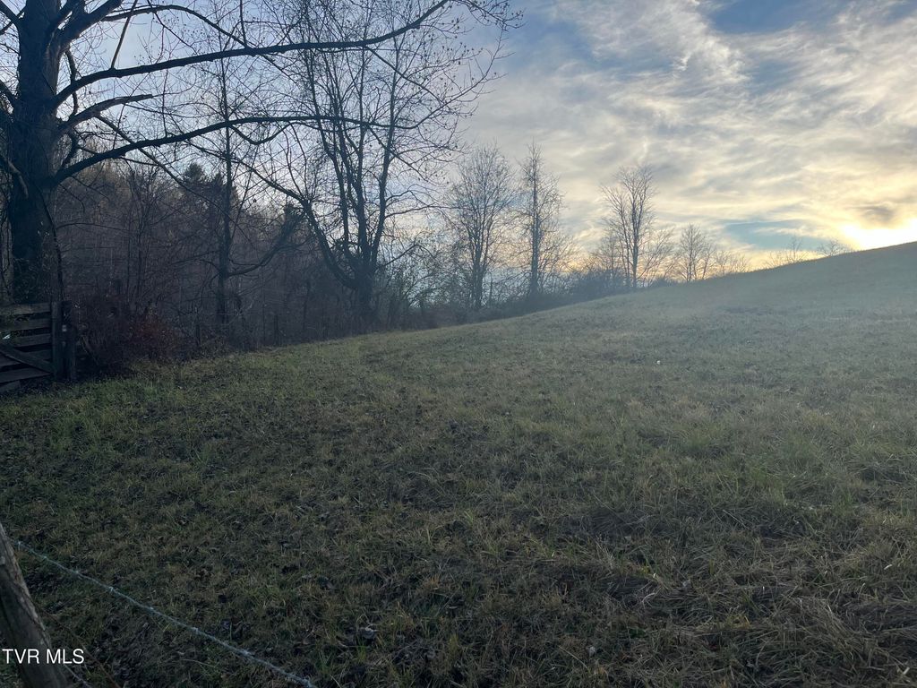 Photo of Tbd Toms Creek Road, Coeburn, VA 24230 (MLS # 9984008)