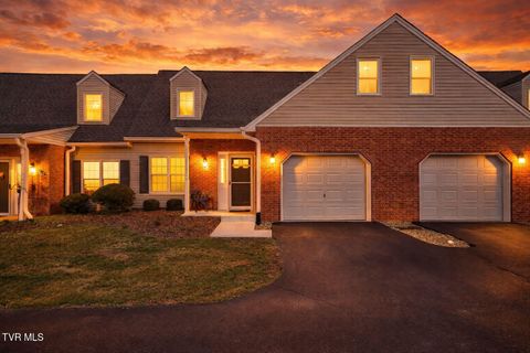 Photo of 1725 Lakeview Drive #62, Johnson City, TN 37601 (MLS # 9991951)